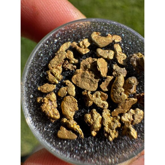 Gold Nuggets from California - 2 grams - Picture 4 of 4